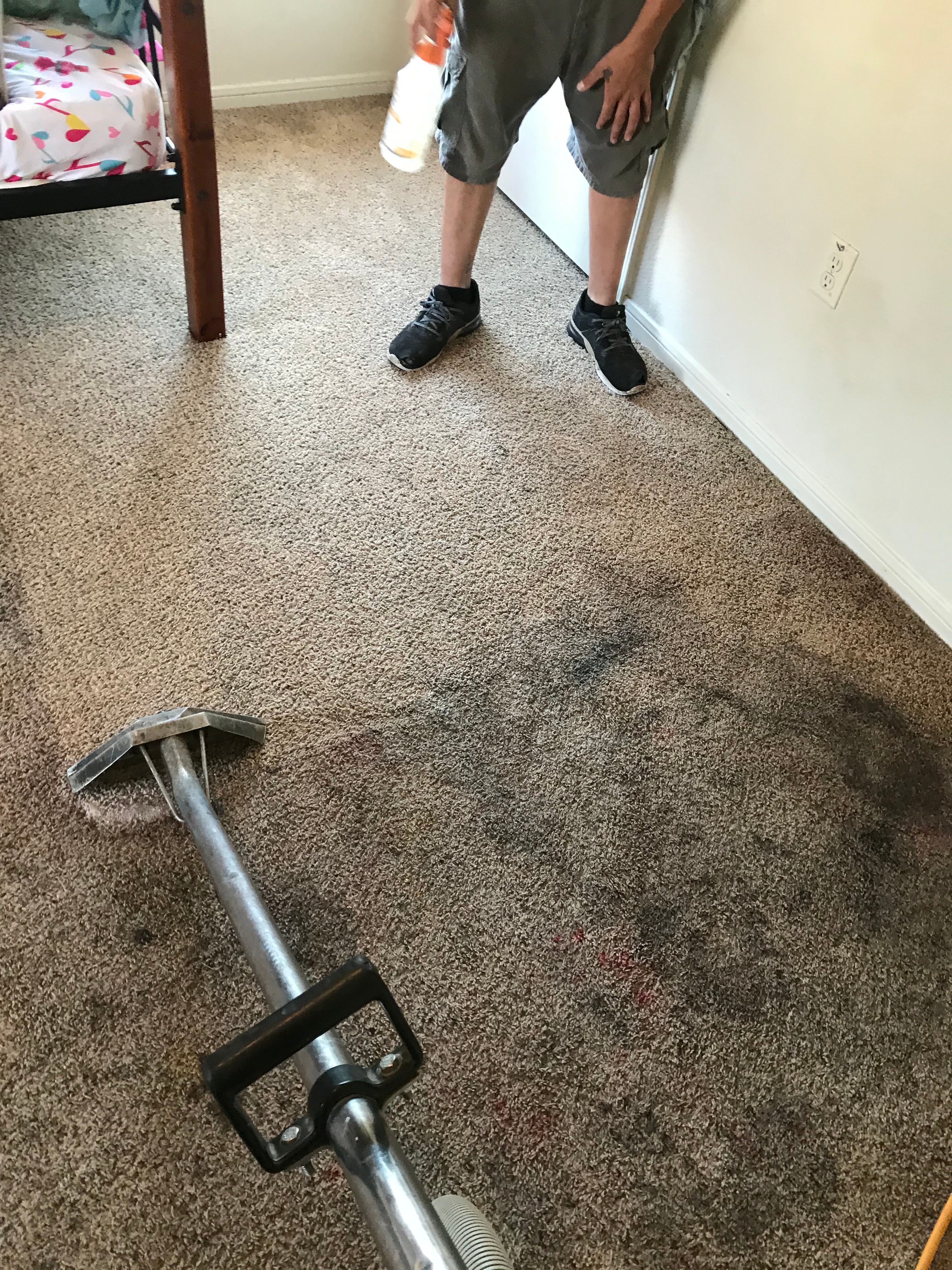 Close-up of commercial carpet cleaning equipment removing deep stains from residential carpet