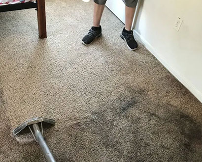 Carpet Cleaning